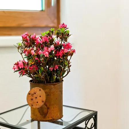 In Hollerbach Near Kitzbuehel Lift, Cleaning Included