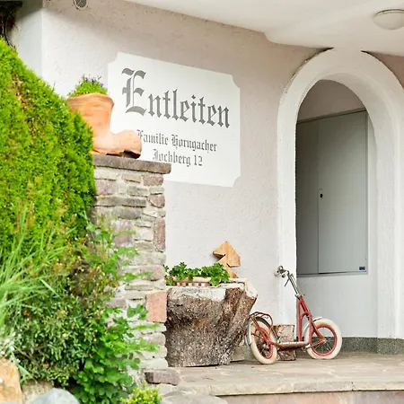 Apartment In Hollerbach Near Kitzbuehel Lift, Cleaning Included Hollersbach im Pinzgau